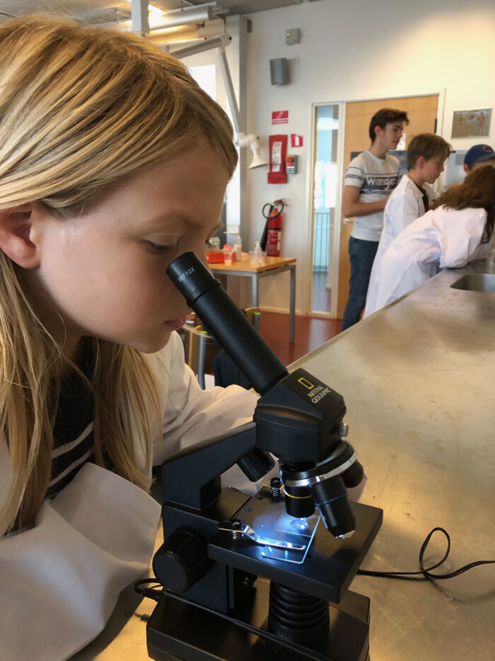 Børnene skal blandt andet kigge på gærceller i et mikroskop. Foto: Kristoffer Lottrup